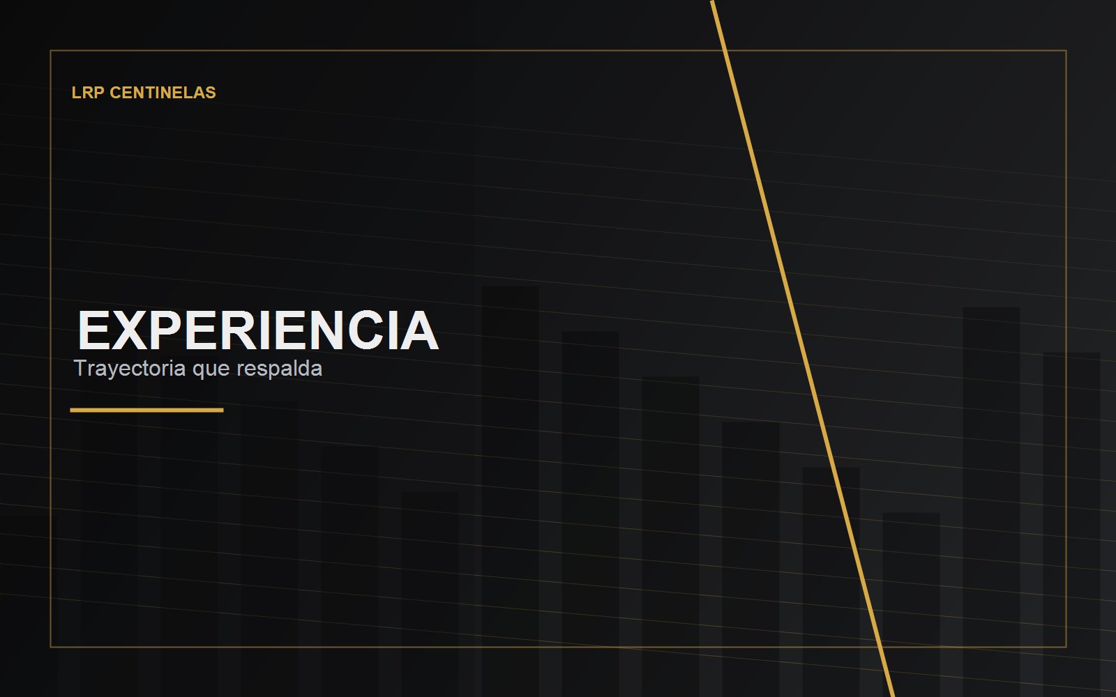 Experiencia en seguridad integral